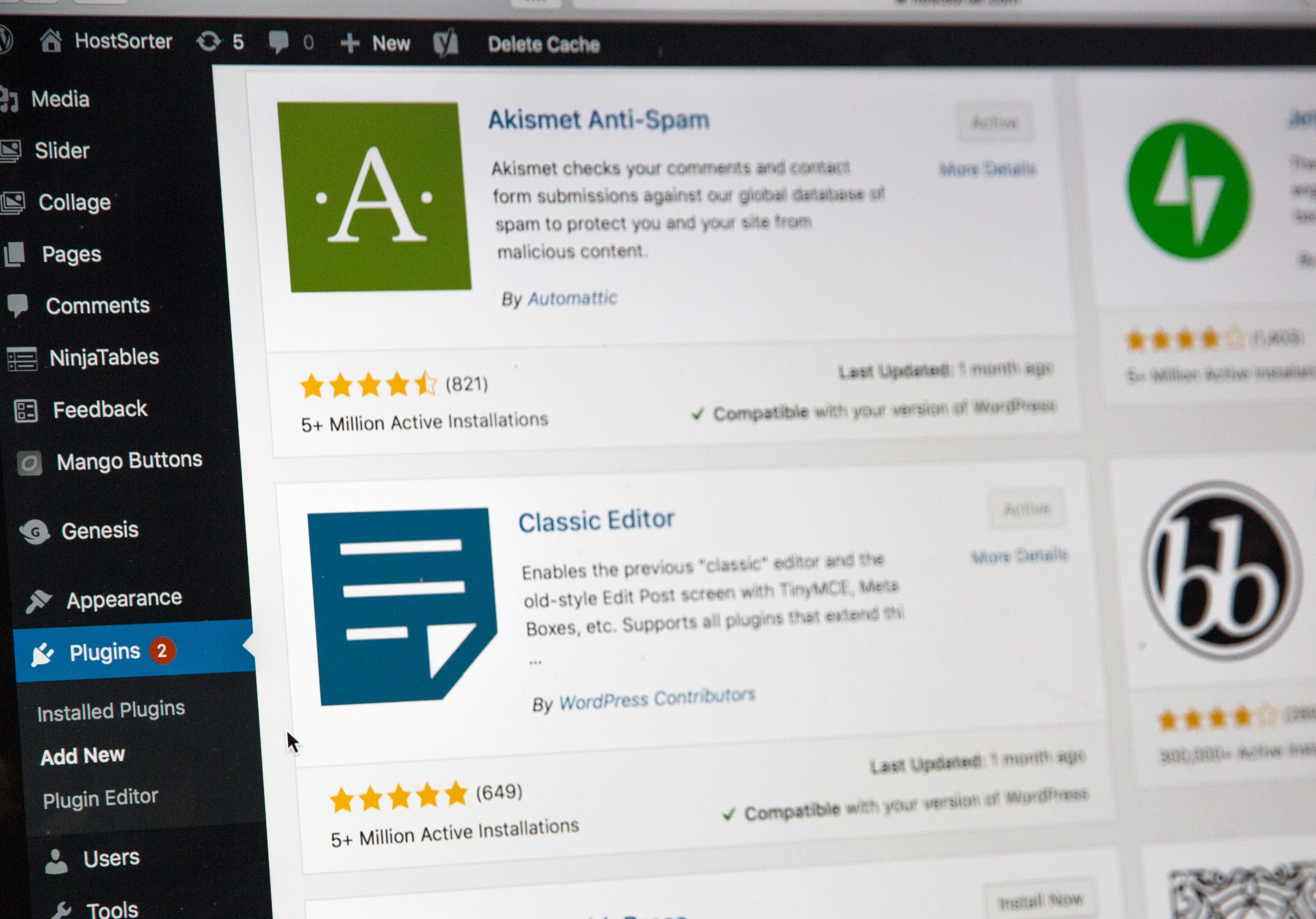 The WordPress Test